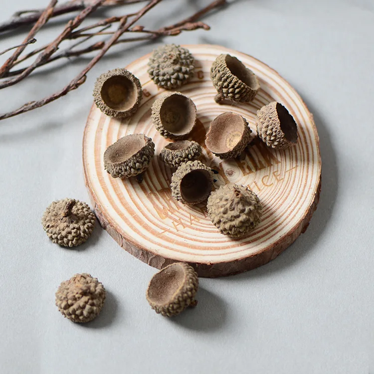 

20pcs,Natural dried flowers nuts real acorns,Eternal flower materials for Wedding Party home Decoration accessories,DIY gift box