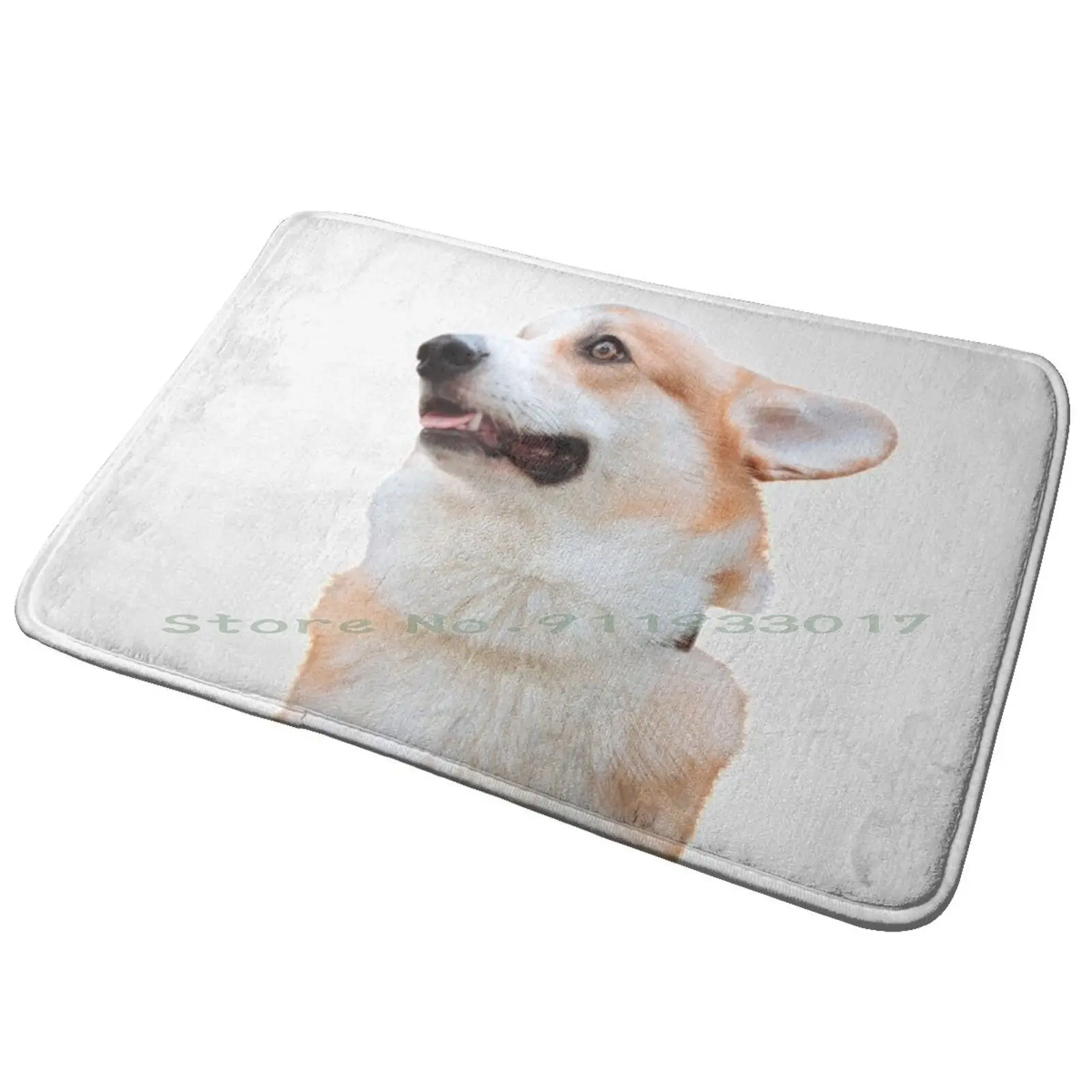 Забавный коврик для входной двери домашних животных Corgi ванной Мигеля оливеры