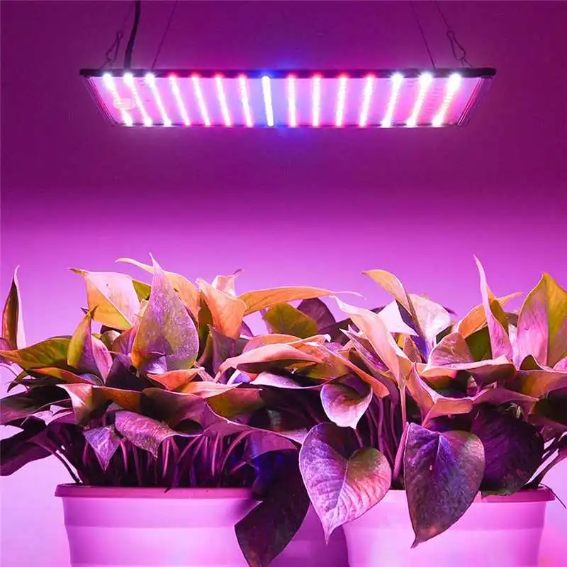 

5000W Grow Light Led Full Spectrum Lamp 225 Leds Plant Light Bulb Greenhouses Indoor Phyto Lamp Grow Tent US EU Plug AC85-265V