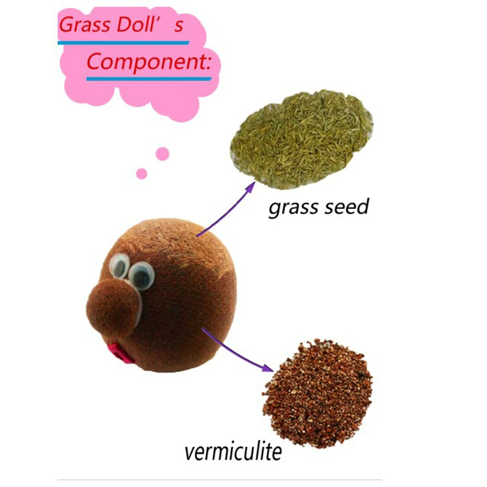 

Mini Growing Grass Head Education Toys Grass Head Dolls Children Kids Craft DIY Gifts