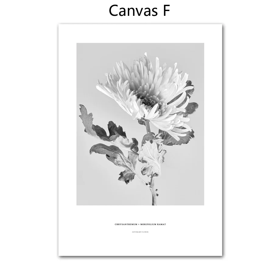 

Настенная картина "Черно-белый пион и хризантема", Gotinkart