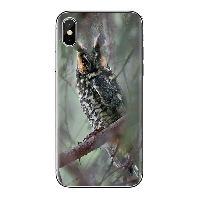 Для samsung Galaxy S2 S3 S4 S5 MINI S6 S7 edge S8 S9 Plus Note 2 3 4 5 8 Coque Fundas длинноухий Сова Asio otus Европа