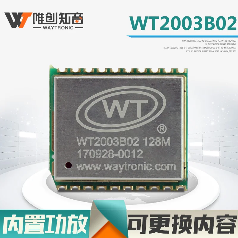 WT2003B02 высокого качества Mp3 Язык звуковой модуль чип Ic USB Порты и разъёмы свободно