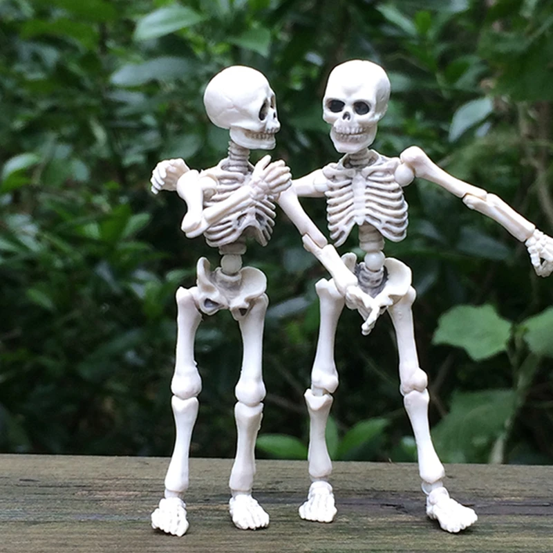 Движущийся мистер Кости Скелет человека модель черепа полный тело фотография