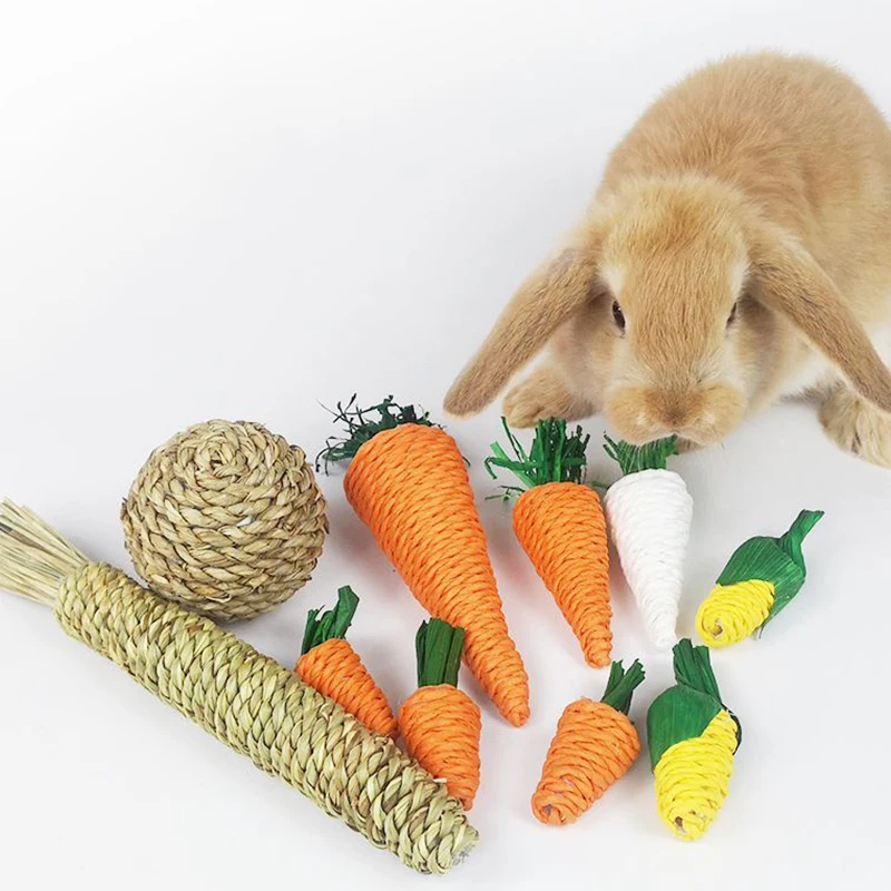 

Wholesale Hamster Rabbit Chew Toy Bite Grind Teeth Toys Corn Carrot Woven Balls for Tooth Cleaning Radish Molar Toy Pet Supplies