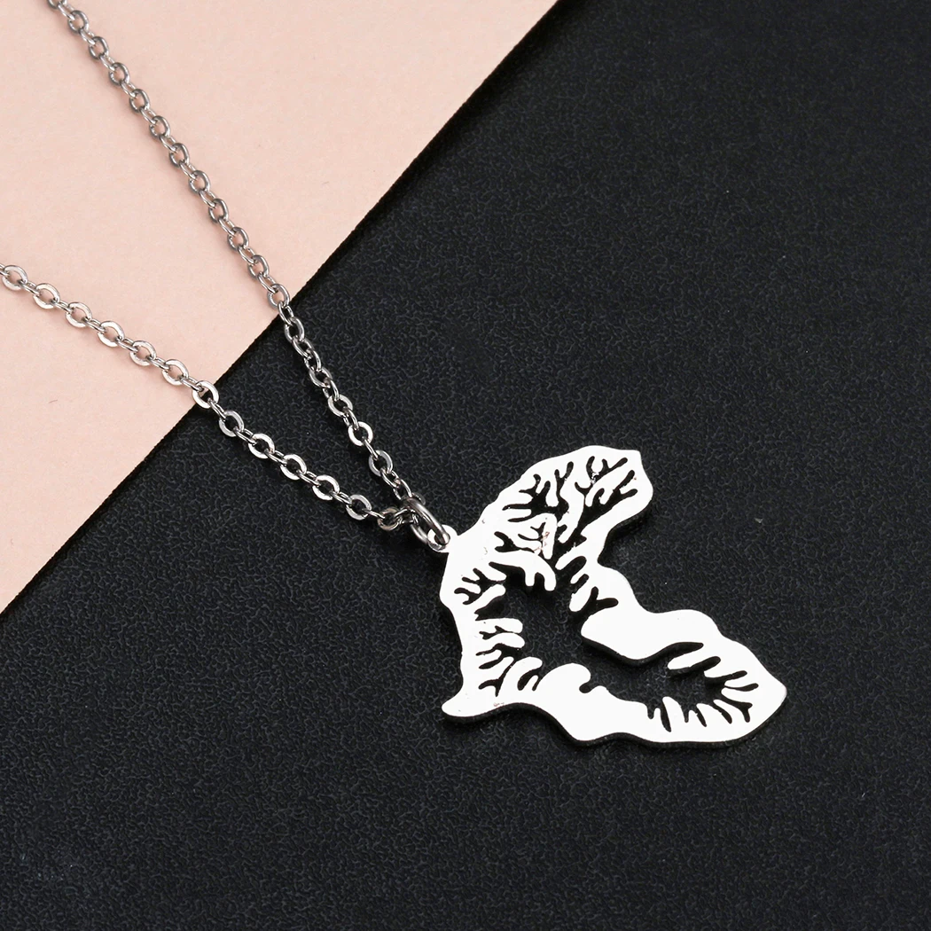 Ожерелье из нержавеющей стали Cxwind в виде карты для женщин и мужчин ожерелье