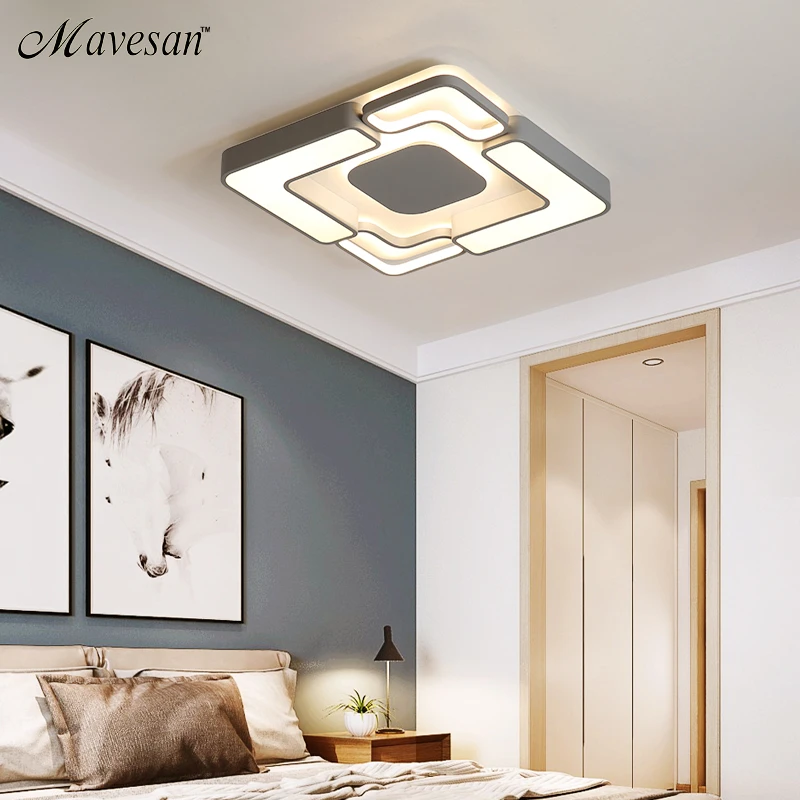 LED ceiling lights White/Grey body Modern living room for bedroom support 110V and 220V Remote control led lamps