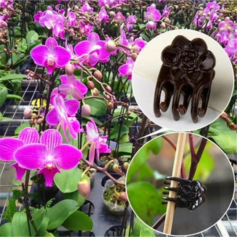 100Pcs Garden Vegetable Plastic Orchid Clips Tomato Vine Bushes Plants Durable Grafting | Дом и сад