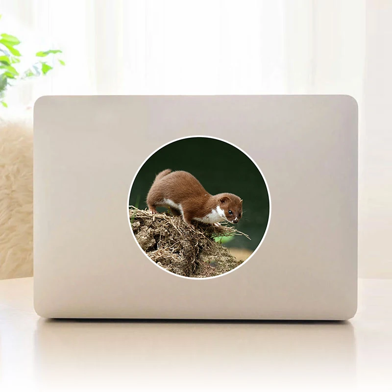 

Коричневая дикая ласка Виниловая наклейка для ноутбука / транспортных средств / стены / планшета / окна / двери / телефона, наклейки для ноутбу...