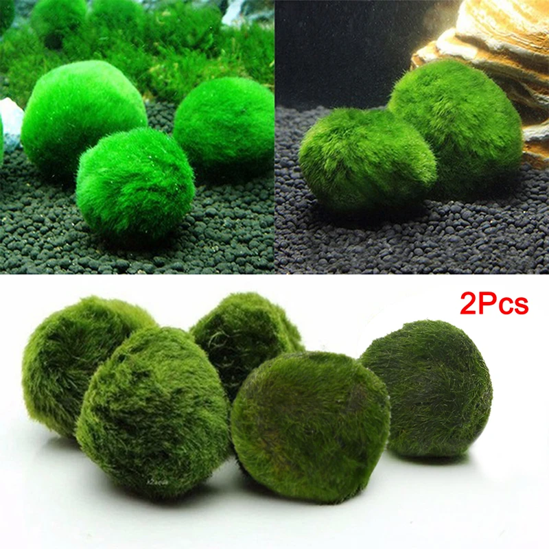2 шт. S M моховые шарики водоросли живое аквариумное растение Рыба Креветки