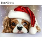 Evershine алмазная живопись собака Новое поступление Алмазная вышивка животные зимние наборы для вышивки крестиком 5D DIY мозаика распродажа Рождественский подарок