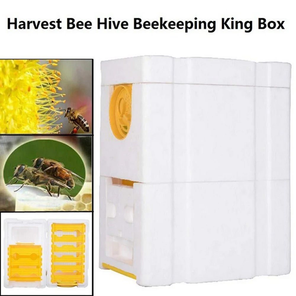 

Honey Harvest Bee Hive Beekeeping King Box Pollination Box Foam Frames Case