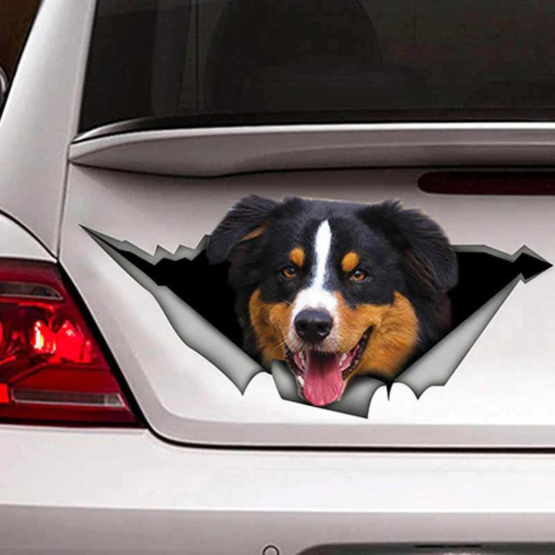 EARLFAMILY, 13 см x 6,2 см, черная Автомобильная наклейка Tri Aussie, рваная металлическая наклейка о животных, Светоотражающая наклейка, s, Австралийская овчарка, Стайлинг автомобиля