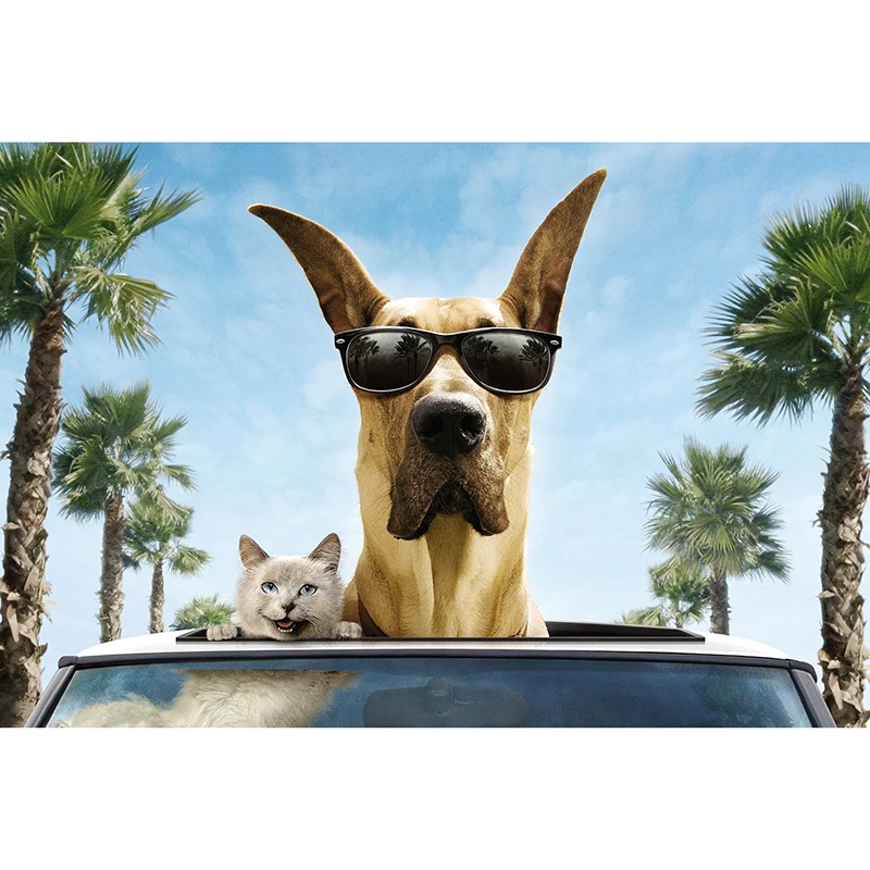 5D Раскраска с бриллиантами DIY с полным квадратным/круглым сверлением "Крутая собака" Вышивка крестом мозаика Декор дома Подарок.