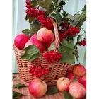 Набор для алмазной вышивки сделай сам, мозаика из круглых страз с фруктами, яблоками, украшение для дома