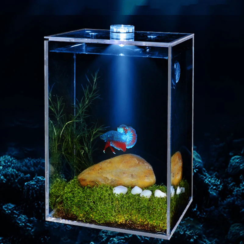 

Acrylic Rectangular Fish Tank Creative Led Light Goldfish Aquariums Fish Tank Breeding Ecosystem Acquario Aquarium Decor EI50YG