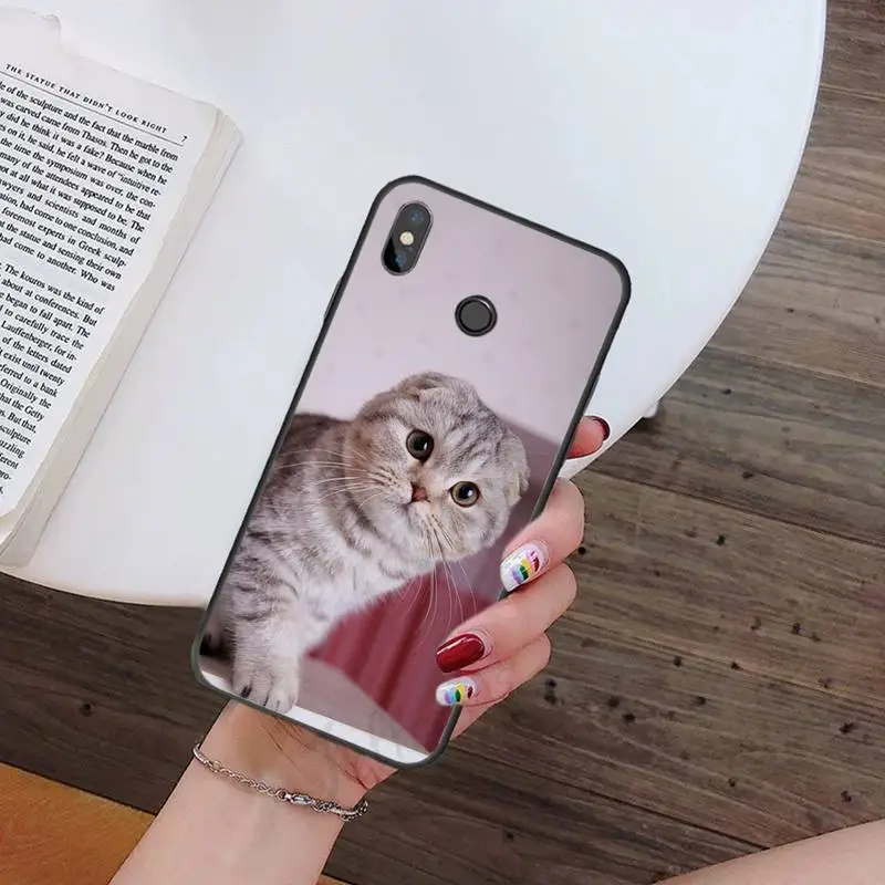 

cute White cat Animal aesthetics Phone Case For Xiaomi Redmi note 7 8 9 t k30 max3 9 s 10 pro lite
