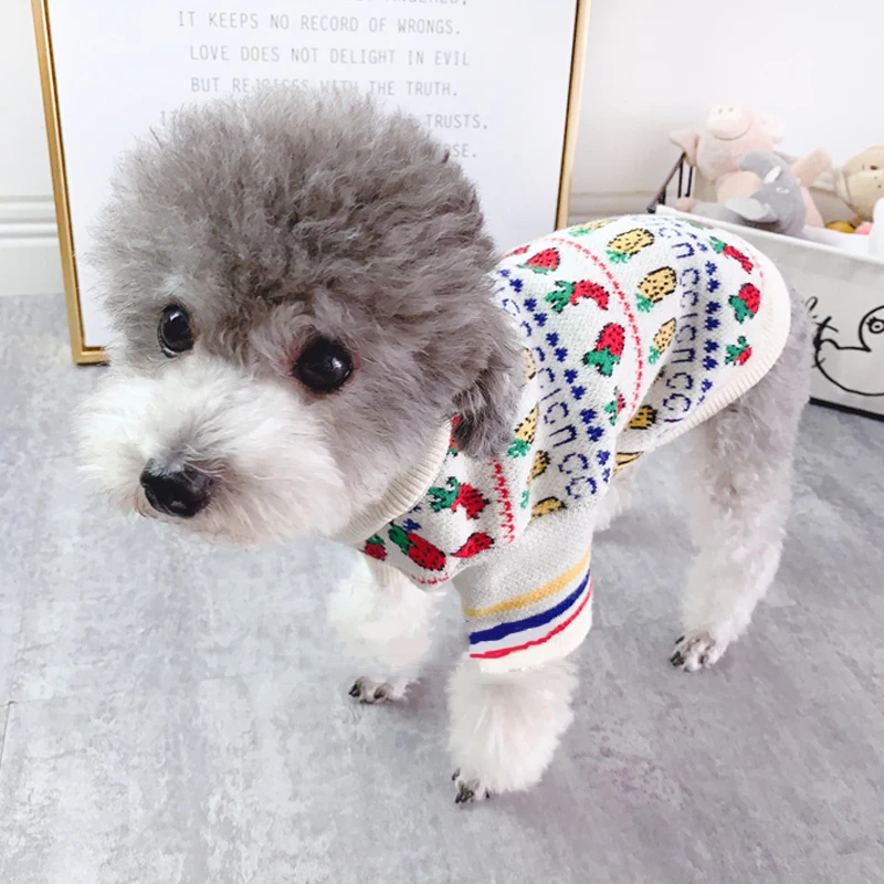 Осенне-зимний свитер для маленьких собак теплая одежда милый плюшевый мишка