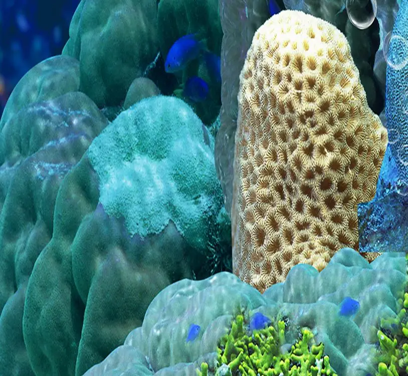 Самоклеящиеся виниловые обои с изображением дельфина 3d напольные покрытия для