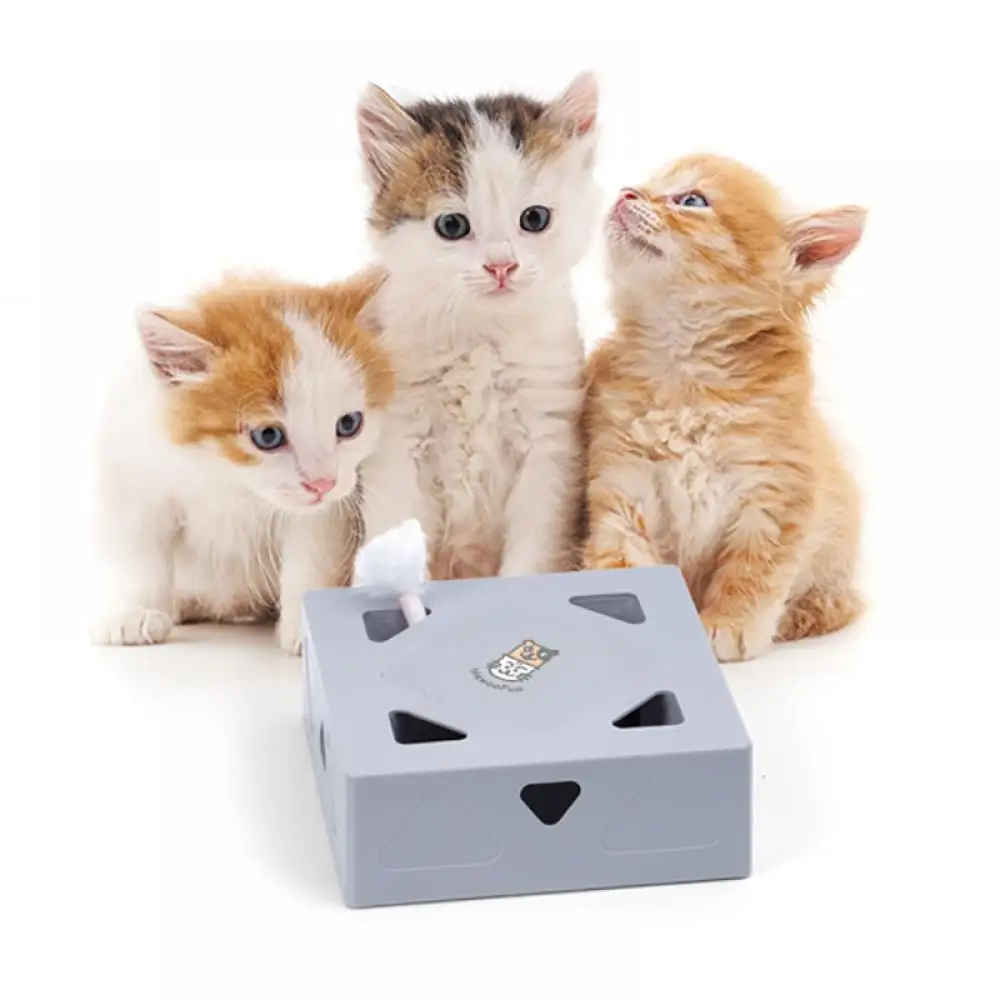 

2021 New Electric Cat Toy Sqaure Magic Box Smart Teasing Cat Stick Crazy Game Interactive Cats Feather Toys Cat Catching Mouse