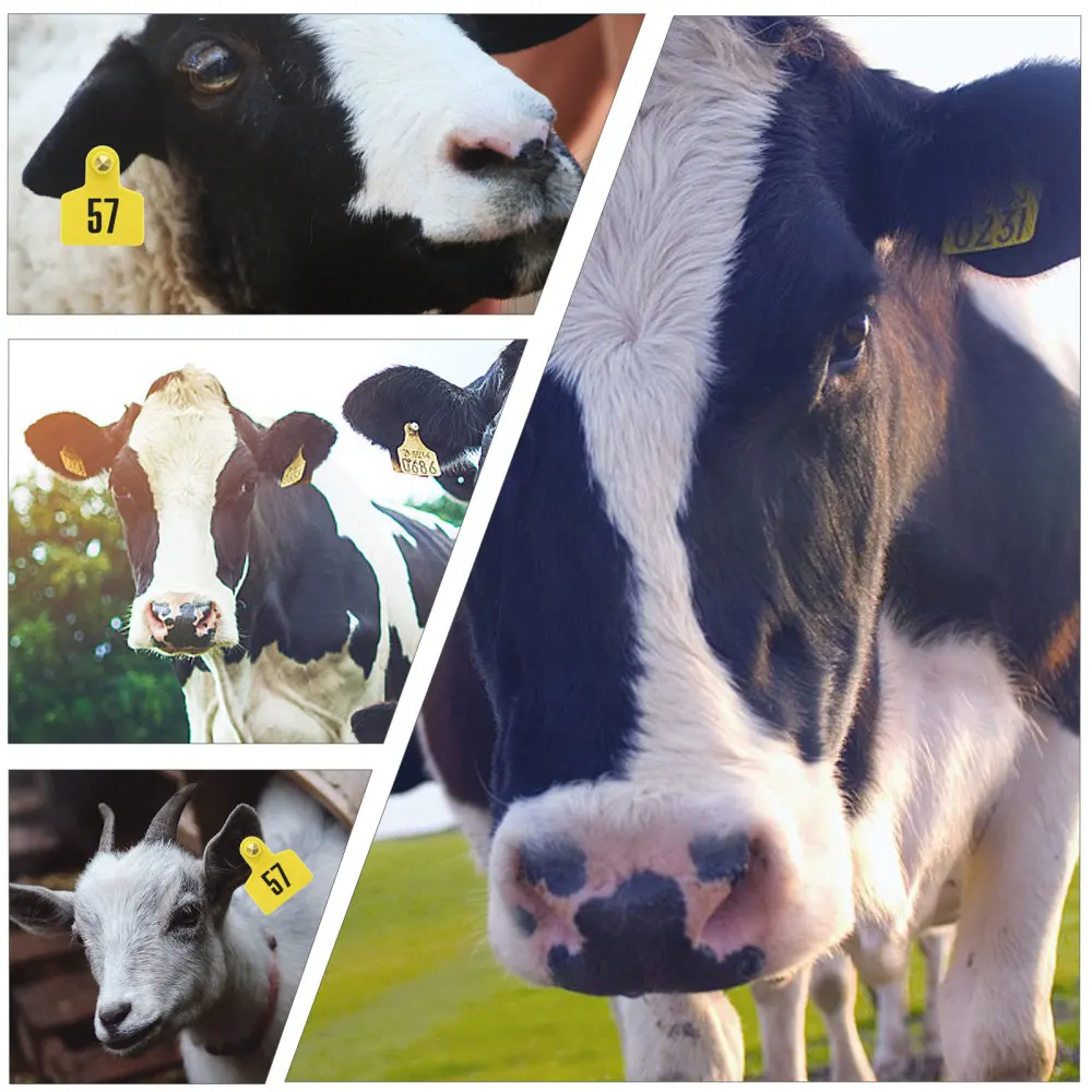 

100pcs Durable TPU Animal Ear Tags Empty Ear Tags Livestock Ear Tags with Pin
