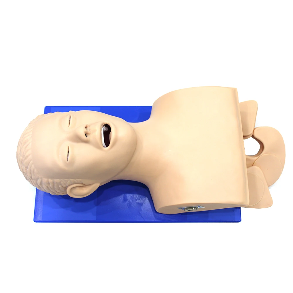 Intubation Manikin Учебная модель Airway управление тренажер ПВХ с зубами