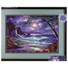 Высокое качество, лидер продаж, Набор для вышивки крестиком, лунное свечение, Ночное море, луна, тусклый 02498 2498