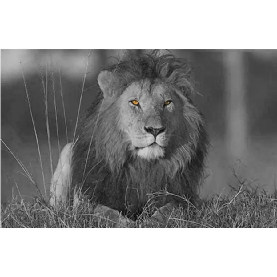 

Черно-белая фотография стены с животными Лев Слон Олень Зебра настенные картины для гостиной минималистская любовь