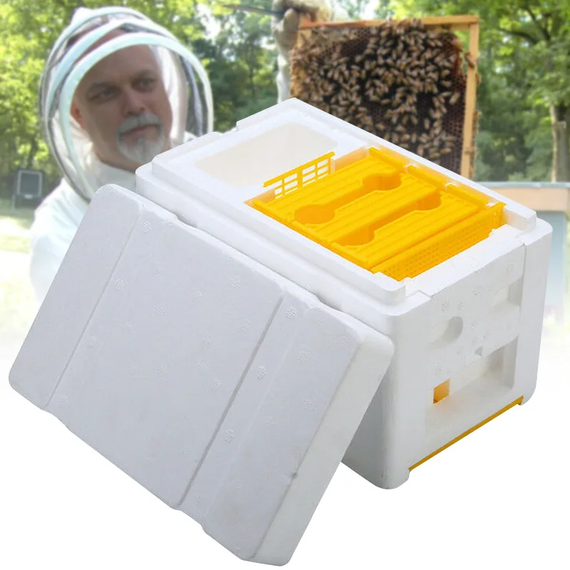 

Beekeeping Queen Breeding Rearing Box Beekeeping Supplies Bee Harvest Beehive Foam Equipment TY53