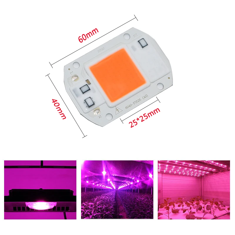 

100pcs LED Grow light Full Spectrum COB Chip 20W 30W 50W DIY Growing Plants lamp For Indoor Plant Hydroponic Greenhouse System