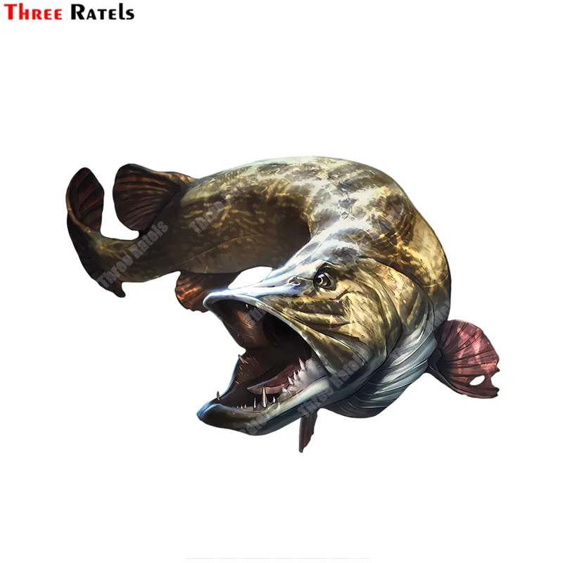 

Waterproof and sunscreen Pike Perch Zander Fish For Bmw E46 Car Sticker Suitable For Bunper Fuel Tank Cap Decoration Vinyl