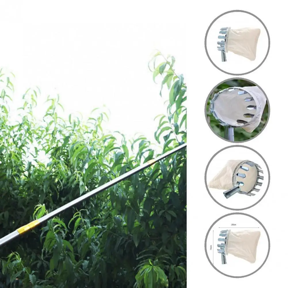 Прочная конструкция долговечный ручной экономичный Ловец фруктов для подарков |