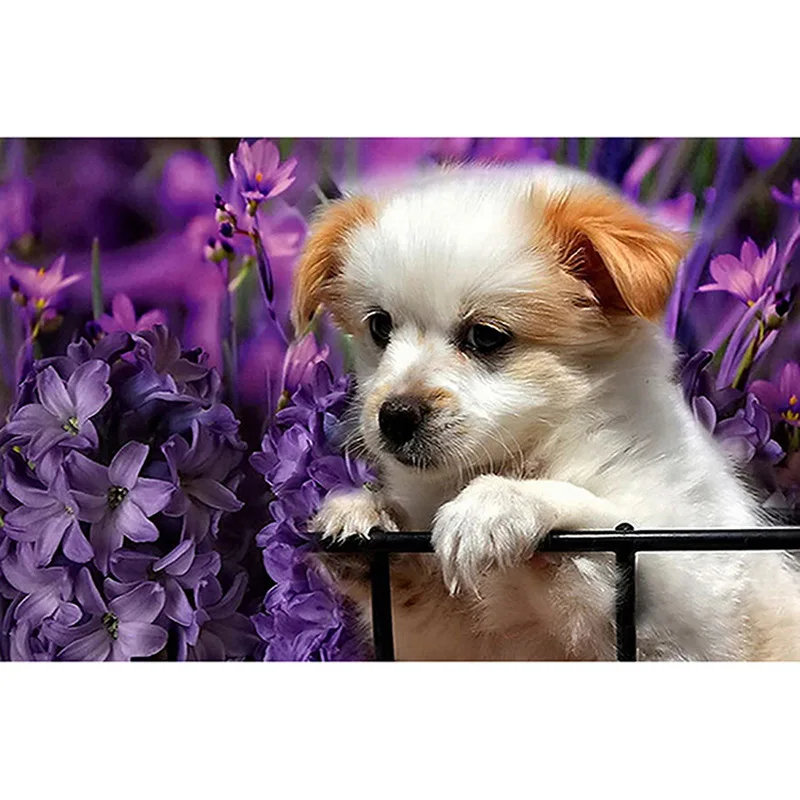 GATYZTORY 5D алмазная живопись полная квадратная мозаика настенная наклейка сделай