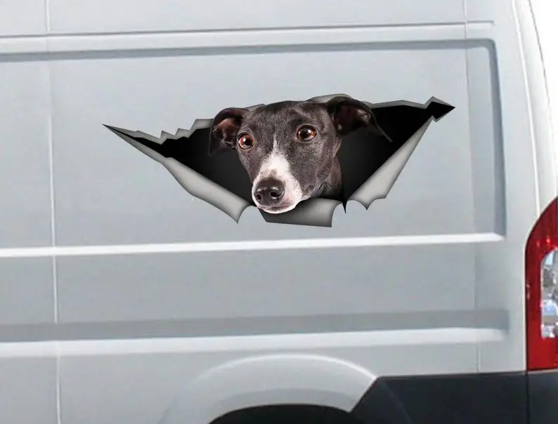 

2021 Greyhound car decal, greyhound sticker