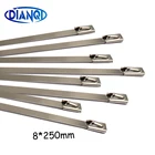 100 шт., самоблокирующиеся стяжки из нержавеющей стали, 8x250 мм, 8x250 мм, 250 201 304
