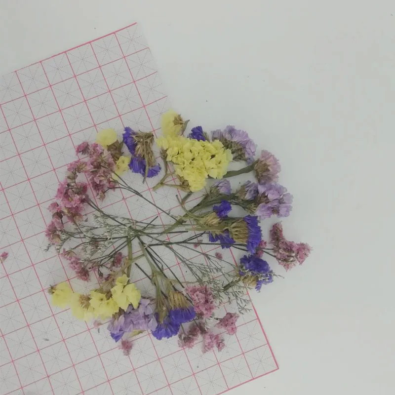 Засушенные цветы для украшений из смолы 5 г/пакет | Дом и сад