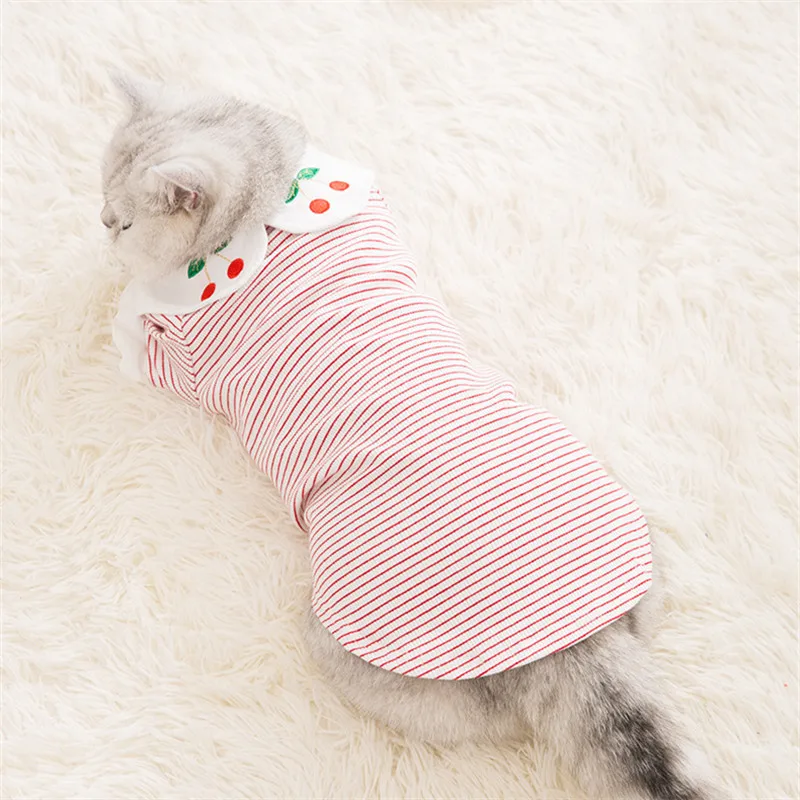 Канадская Одежда для кошек без волос одежда сфинкса футболка в британском стиле