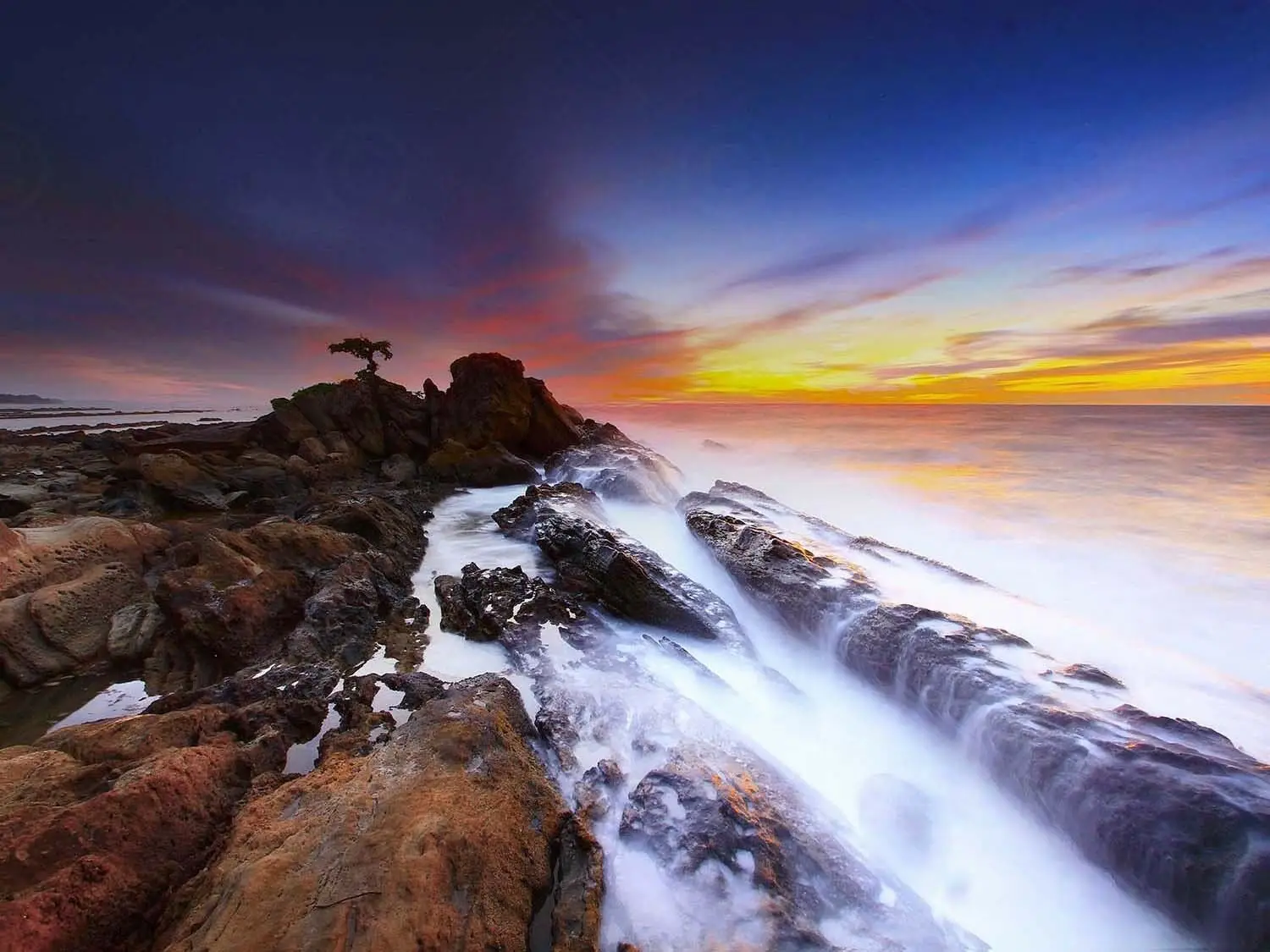 Шелковый постер с рисунком побережья Морского Пейзажа заката дерева арт печать