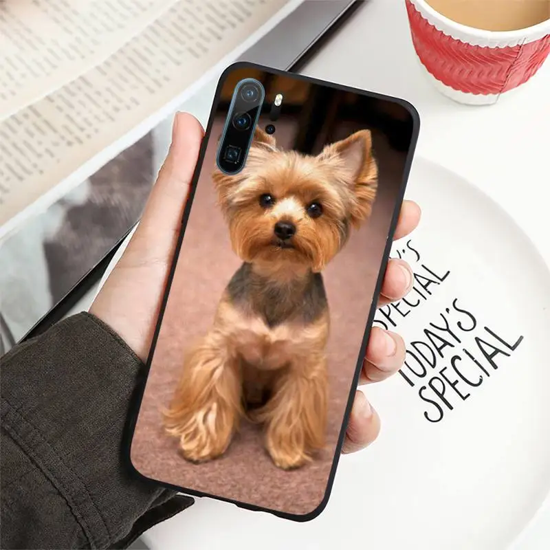 

cactus Phone Case For Huawei P40 P20 P30 lite Pro P Smart 2019 Mate 40 20 10 Lite Pro Nova 5t