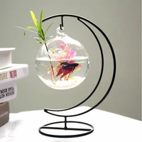 hanging simple mini desktop fishbowl transparent glass round creative home desk living room fishbowl aquarium decoration