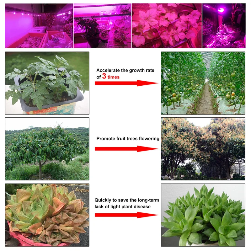 

LED plant growth lamp COB chip full spectrum AC 220V 110V 20W 30W 50W greenhouse indoor plant seedlings and flower growth