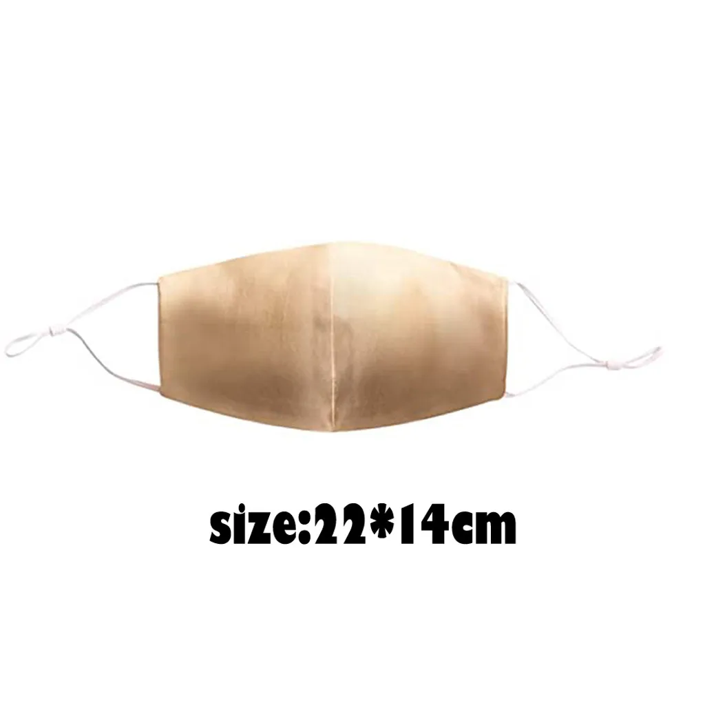 

6pc Summer Women Silk Masks Wholesale Pink Sliver Protec Masks With Pocket Breathable Fashion Face Mouthmask Decoration