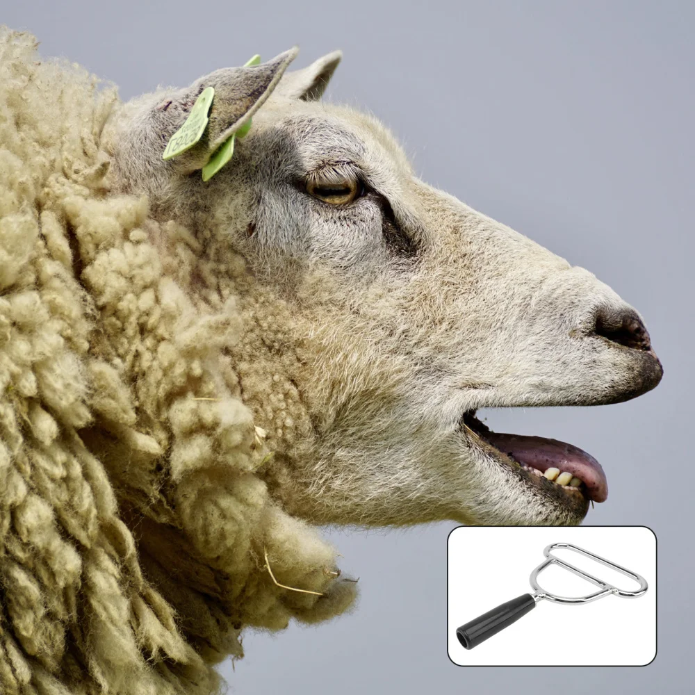 

1pc Poultry Mouth Opener Tool Sheep Mouth Opening Tool Feeding Medicine Opener