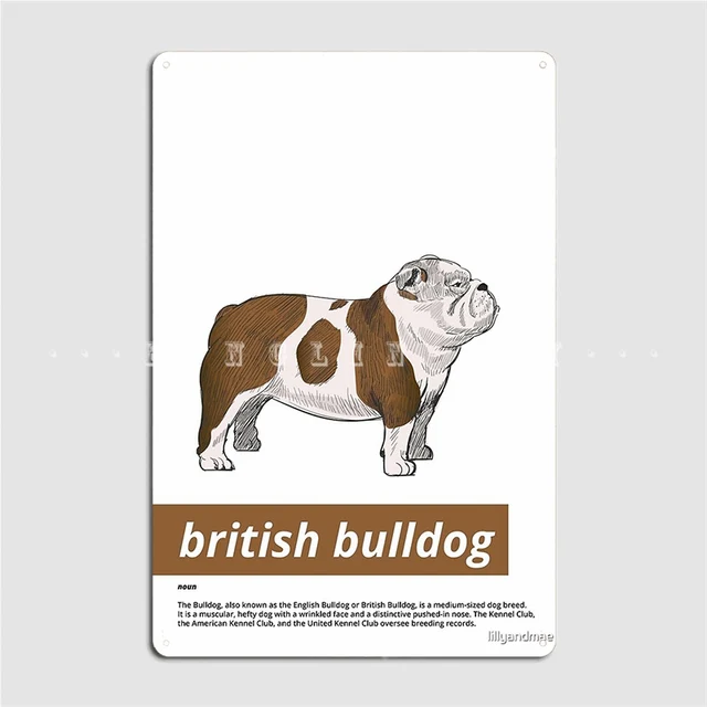 Британский бульдог конкурс по английскому языку. Бритиш бульдог задания 3 класс. Британский бульдог 2021-2022. Международный игровой конкурс по английскому языку british bulldog. Бульдог 2023 2024.