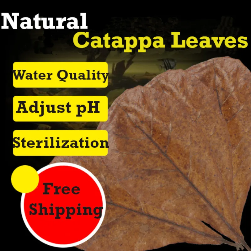 500 шт./1000 шт. декоративные листья миндаля для очистки воды|Очистка - Цена: 2 700,10 - 5 422,52 руб.