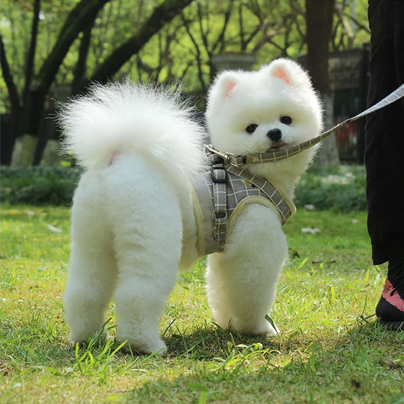 

2021Medium Dog Harness Reflective Breathable Chest Strap Plaid Teddy Bichon Pet Clothes Supplies Dog Chain Leash Printed Vest