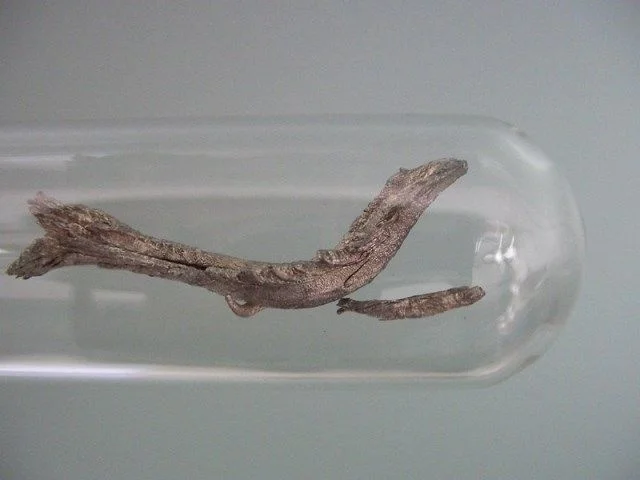 1 г сверхчистый Металл 99.99% 4N с аргоновой стеклянной бутылкой Sc | Инструменты