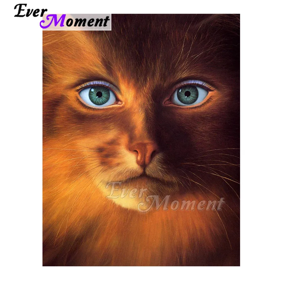 Алмазная картина Ever Moment стразы с зелеными глазами кошка полностью квадратная