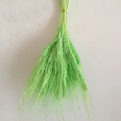 100pcs green color 100 шт Натуральные Сушеные Цветочные букеты натуральные необработанные цвета Сушеные уши пшеничные букеты и пшеничные ушные пучки - Цвет: 100pcs green color