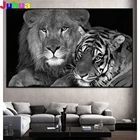 Черная белая Тигр Лев 5D сделай сам квадратнаякруглая алмазная живопись вышивка крестиком животные Алмазная вышивка подарок mosiac домашний декор